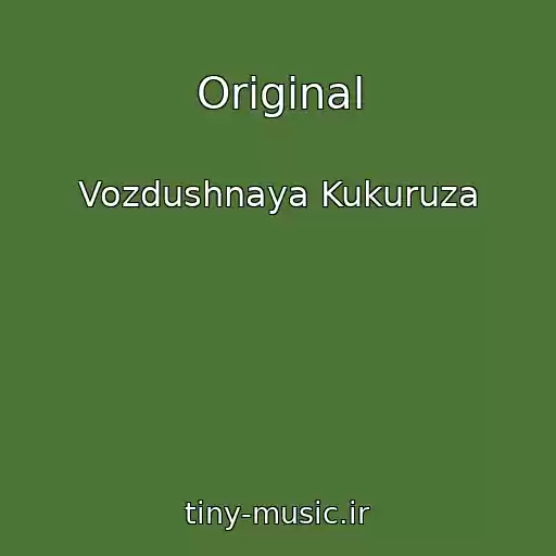 کاور آهنگ Original از Vozdushnaya Kukuruza
