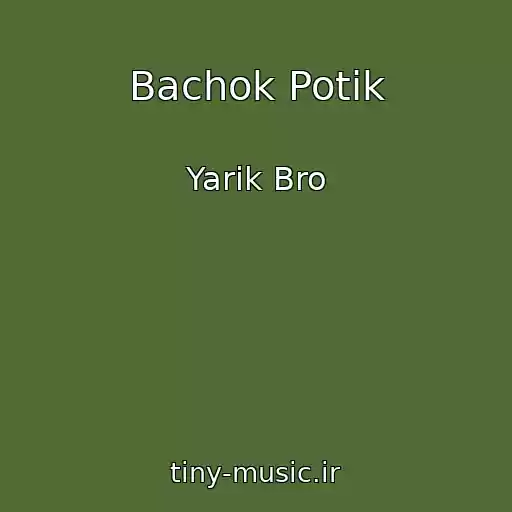 کاور آهنگ Bachok Potik از Yarik Bro