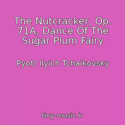 کاور آهنگ The Nutcracker, Op. 71A, Dance Of The Sugar Plum Fairy از Pyotr Ilyich Tchaikovsky