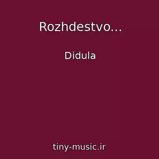کاور آهنگ Rozhdestvo... از Didula