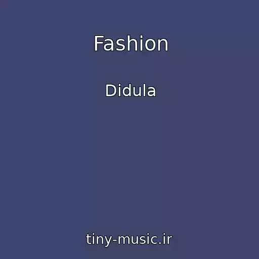 کاور آهنگ Fashion از Didula