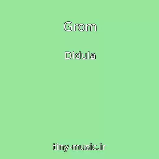 کاور آهنگ Grom از Didula