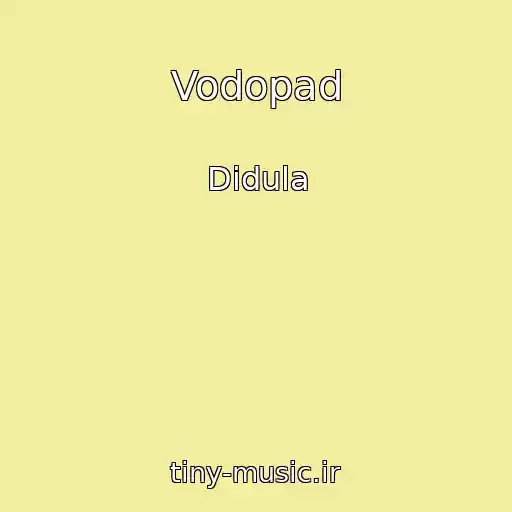 کاور آهنگ Vodopad از Didula