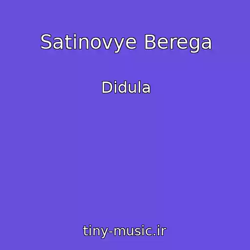 کاور آهنگ Satinovye Berega از Didula