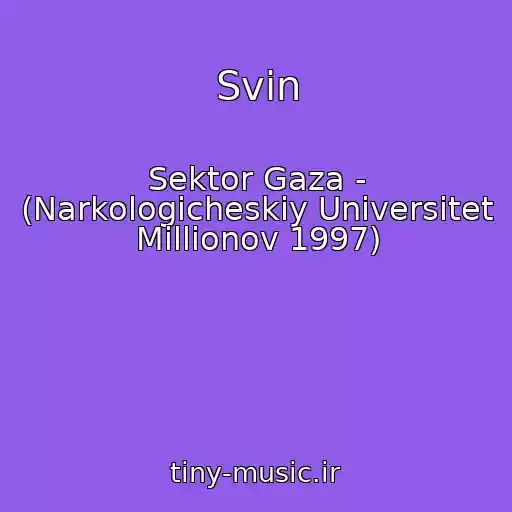 کاور آهنگ Svin از Sektor Gaza - (Narkologicheskiy Universitet Millionov 1997)