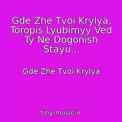 کاور آهنگ Gde Zhe Tvoi Krylya, Toropis Lyubimyy Ved Ty Ne Dogonish Stayu... از Gde Zhe Tvoi Krylya