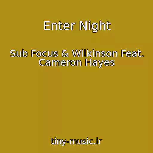 کاور آهنگ Enter Night از Sub Focus & Wilkinson Feat. Cameron Hayes
