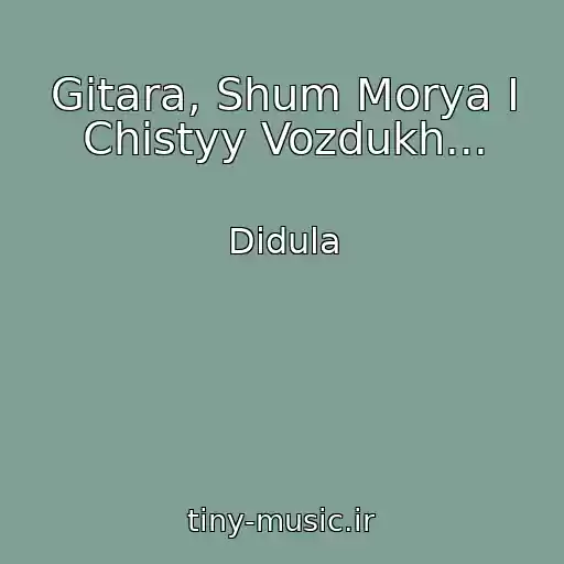 کاور آهنگ Gitara, Shum Morya I Chistyy Vozdukh... از Didula