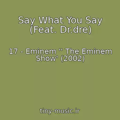 کاور آهنگ Say What You Say (Feat. Dr.dre) از 17 - Eminem '' The Eminem Show' (2002)