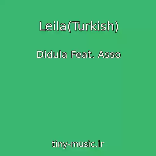 کاور آهنگ Leila(Turkish) از Didula Feat. Asso