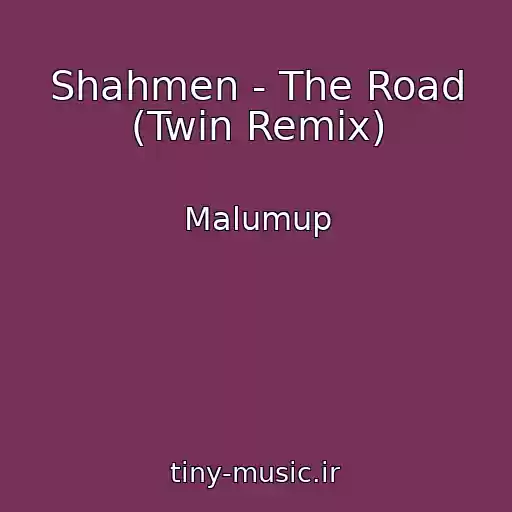 کاور آهنگ Shahmen - The Road (Twin Remix) از Malumup