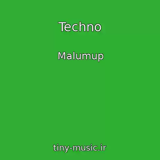 کاور آهنگ Techno از Malumup