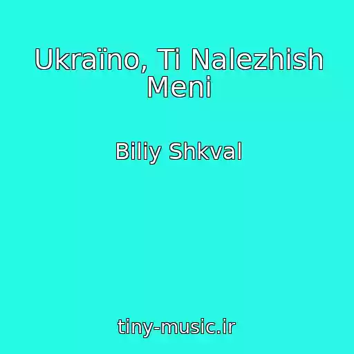کاور آهنگ Ukraїno, Ti Nalezhish Menі از Bіliy Shkval