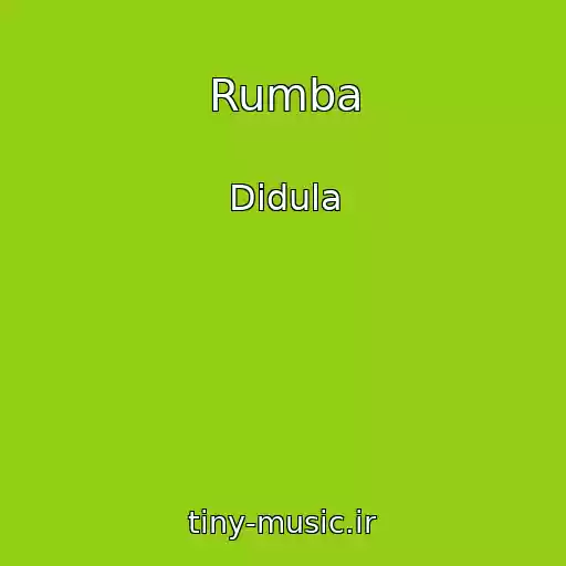 کاور آهنگ Rumba از Didula