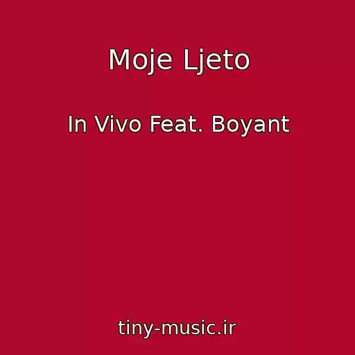 کاور آهنگ Moje Ljeto از In Vivo Feat. Boyant
