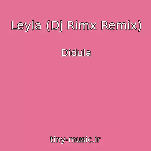 کاور آهنگ Leyla (Dj Rimx Remix) از Didula