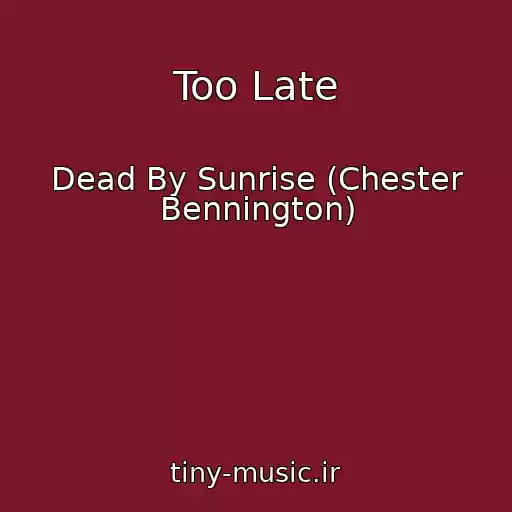 کاور آهنگ Too Late از Dead By Sunrise (Chester Bennington)