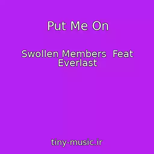 کاور آهنگ Put Me On از Swollen Members  Feat Everlast