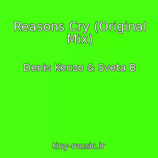 کاور آهنگ Reasons Cry (Original Mix) از Denis Kenzo & Sveta B