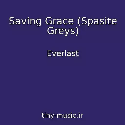 کاور آهنگ Saving Grace (Spasite Greys) از Everlast
