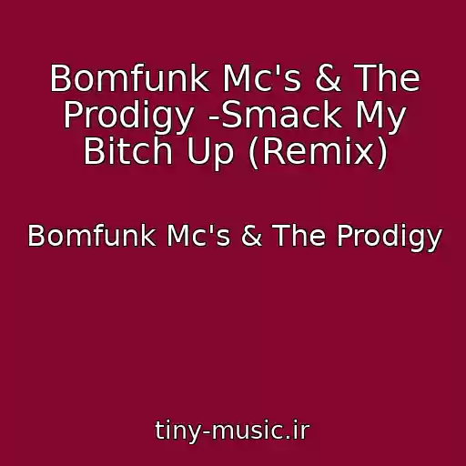 کاور آهنگ Bomfunk Mc's & The Prodigy -Smack My Bitch Up (Remix) از Bomfunk Mc's & The Prodigy
