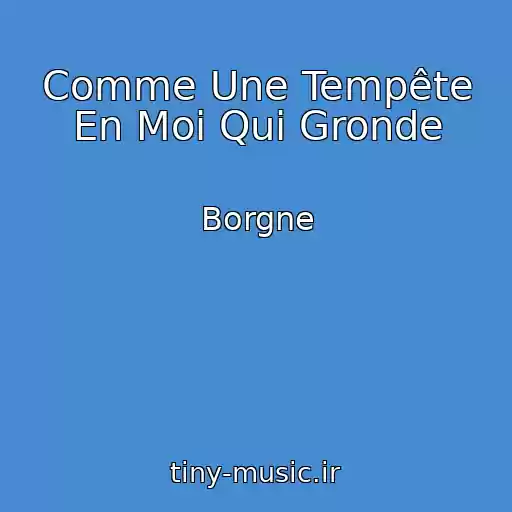 کاور آهنگ Comme Une Tempête En Moi Qui Gronde از Borgne