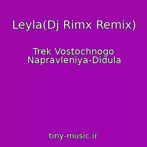 کاور آهنگ Leyla(Dj Rimx Remix) از Trek Vostochnogo Napravleniya-Didula