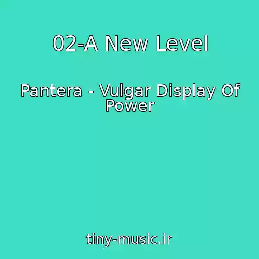 کاور آهنگ 02-A New Level از Pantera - Vulgar Display Of Power