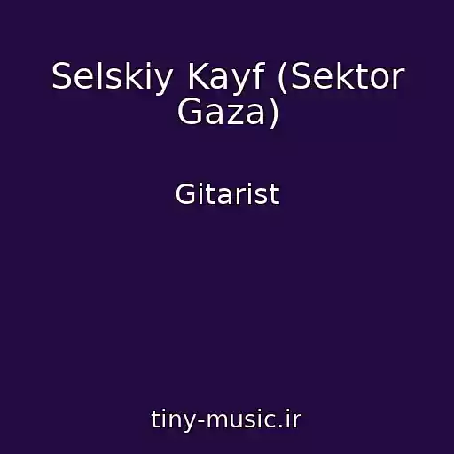 کاور آهنگ Selskiy Kayf (Sektor Gaza) از Gitarist