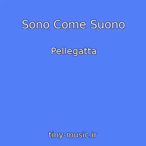 کاور آهنگ Sono Come Suono از Pellegatta