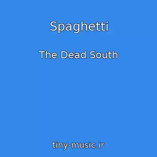 کاور آهنگ Spaghetti از The Dead South