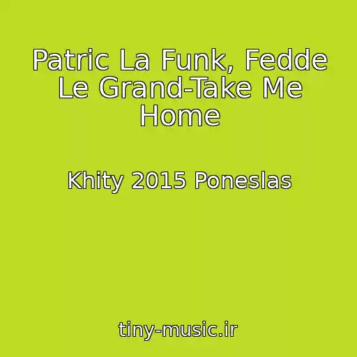 کاور آهنگ Patric La Funk, Fedde Le Grand-Take Me Home از Khity 2015 Poneslas