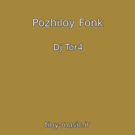 کاور آهنگ Pozhiloy Fonk از Dj Tor4