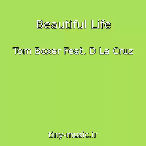 کاور آهنگ Beautiful Life از Tom Boxer Feat. D La Cruz