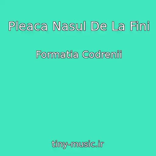 کاور آهنگ Pleaca Nasul De La Fini از Formatia Codrenii