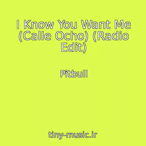 کاور آهنگ I Know You Want Me (Calle Ocho) (Radio Edit) از Pitbull