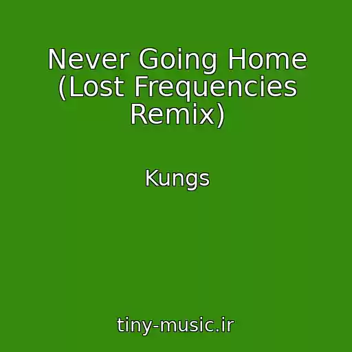 کاور آهنگ Never Going Home (Lost Frequencies Remix) از Kungs