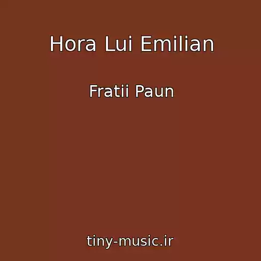 کاور آهنگ Hora Lui Emilian از Fratii Paun