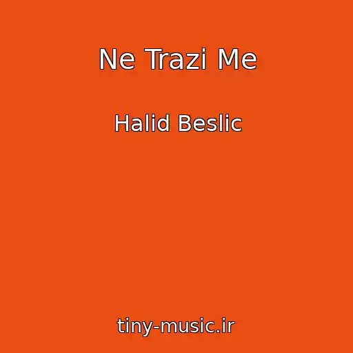 کاور آهنگ Ne Trazi Me از Halid Beslic
