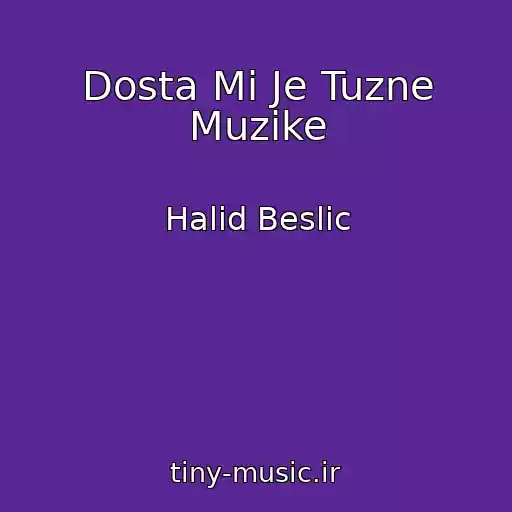 کاور آهنگ Dosta Mi Je Tuzne Muzike از Halid Beslic