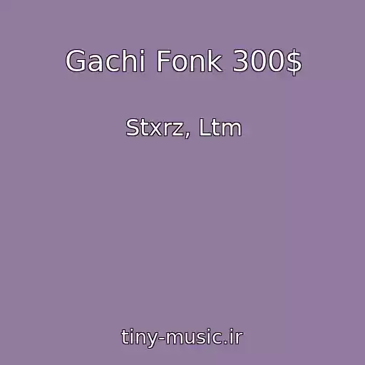 کاور آهنگ Gachi Fonk 300$ از Stxrz, Ltm