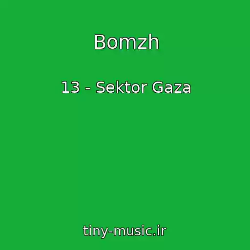 کاور آهنگ Bomzh از 13 - Sektor Gaza