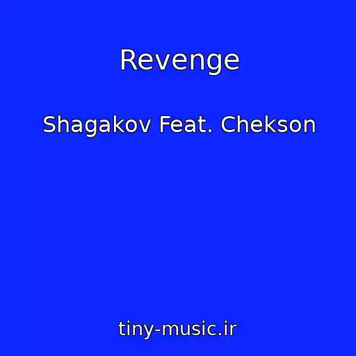 کاور آهنگ Revenge از Shagakov Feat. Chekson