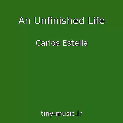 کاور آهنگ An Unfinished Life از Carlos Estella