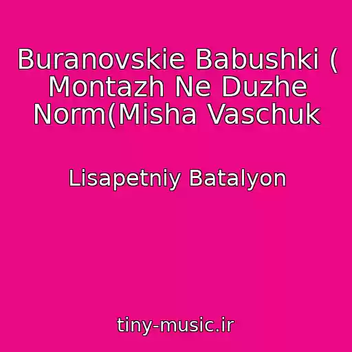 کاور آهنگ Buranovskie Babushki ( Montazh Ne Duzhe Norm(Mіsha Vaschuk از Lіsapetniy Batalyon
