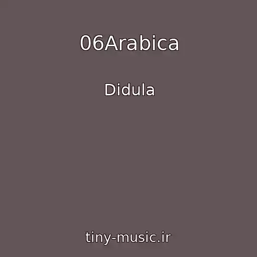 کاور آهنگ 06Arabica از Didula