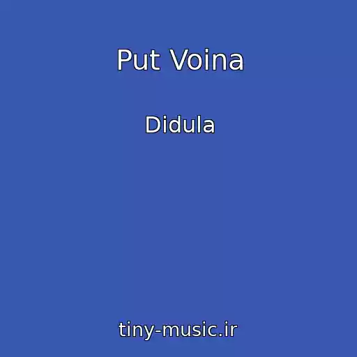کاور آهنگ Put Voina از Didula