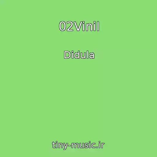 کاور آهنگ 02Vinil از Didula
