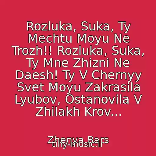 کاور آهنگ Rozluka, Suka, Ty Mechtu Moyu Ne Trozh!! Rozluka, Suka, Ty Mne Zhizni Ne Daesh! Ty V Chernyy Svet Moyu Zakrasila Lyubov, Ostanovila V Zhilakh Krov... از Zhenya Bars