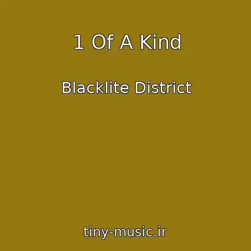 کاور آهنگ 1 Of A Kind از Blacklite District